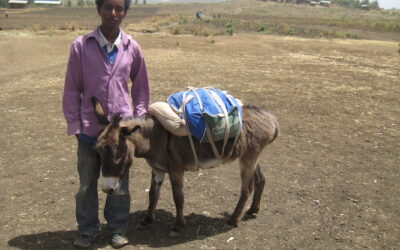 Holiday Giving Campaign: School and Donkey Libraries